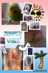 Au&szlig;erirdische Lebensformen,  der Mars und 2000 Jahre Kirchengeschichte. Botschaft vom Himmel. Kurzgeschichte mit philosophischen Ausblick.Erz -  Fabian Knipper