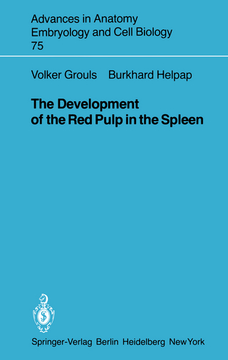 The Development of the Red Pulp in the Spleen