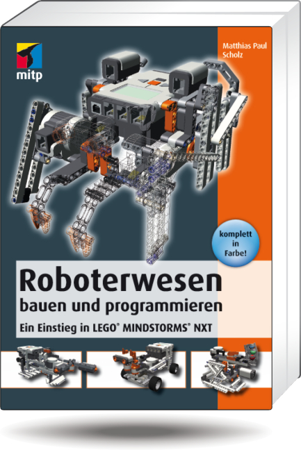 Roboterwesen bauen und programmieren - Matthias Scholz