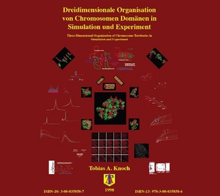Dreidimensionale Organisation von Chromosomen-Domänen in Simulation und Experiment