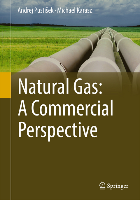 Natural Gas: A Commercial Perspective - Andrej Pusti&scaron;ek, Michael Karasz