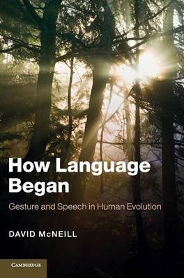 How Language Began - David McNeill