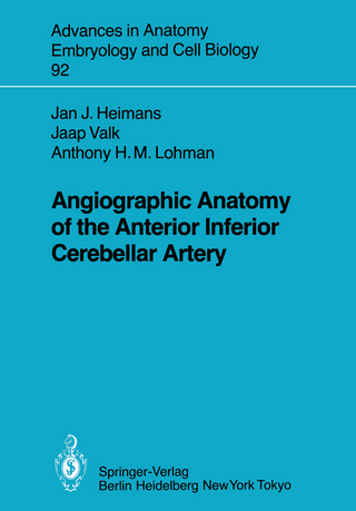 Angiographic Anatomy of the Anterior Inferior Cerebellar Artery