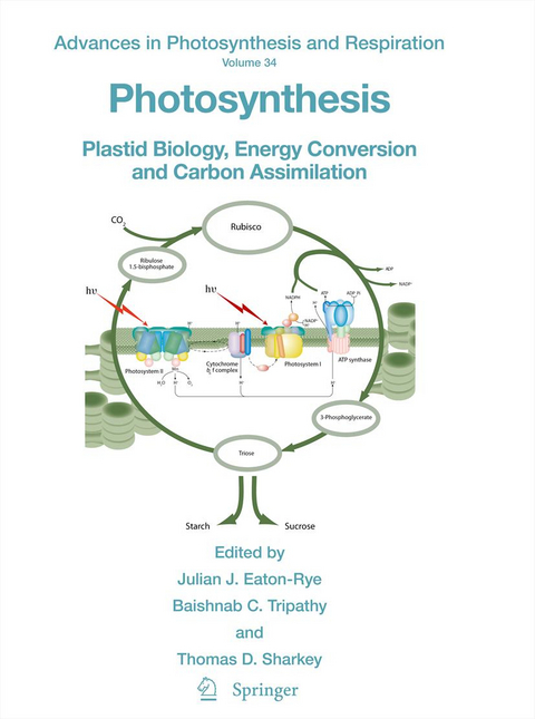 Photosynthesis - 