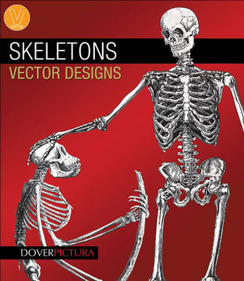 Skeletons Vector Designs - Alan Weller