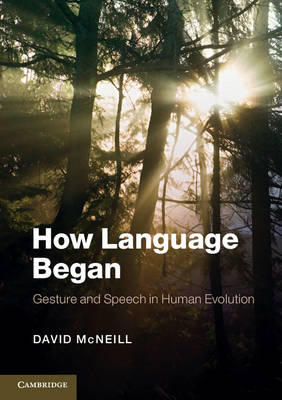 How Language Began - David McNeill