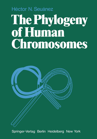 The Phylogeny of Human Chromosomes