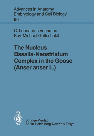 The Nucleus Basalis-Neostriatum Complex in the Goose (Anser anser L.)