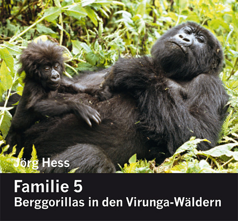 Familie 5, Berggorillas in den Virunga-W&auml;ldern - J&ouml;rg Hess