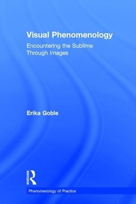 Visual Phenomenology - Erika Goble