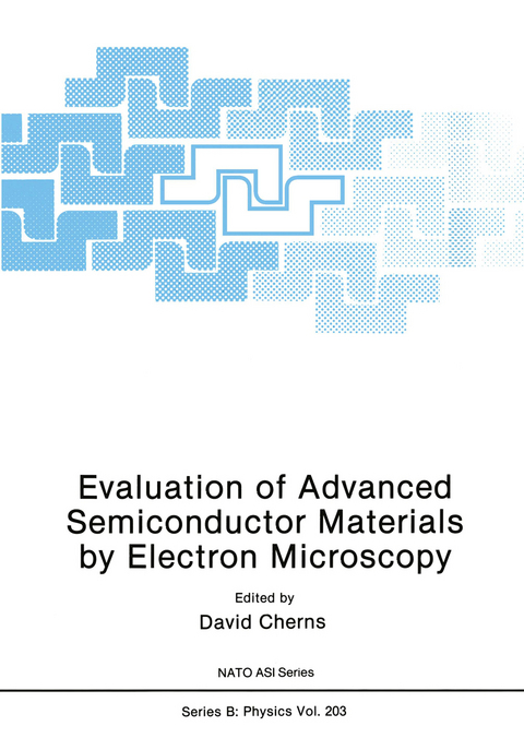 Evaluation of Advanced Semiconductor Materials by Electron Microscopy - 