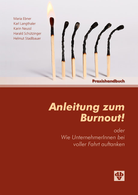 Anleitung zum Burnout - Maria Ebner, Karl Langthaler, Karin Neussl, Harald Sch&uuml;tzinger, Helmut Stadlbauer