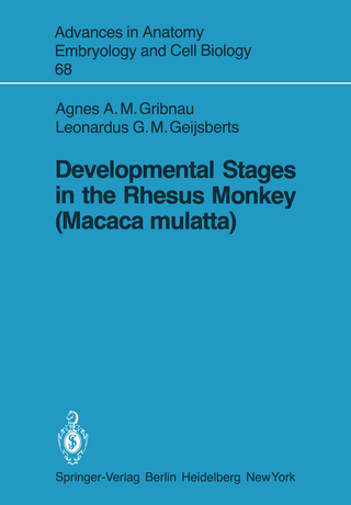 Developmental Stages in the Rhesus Monkey (Macaca mulatta)
