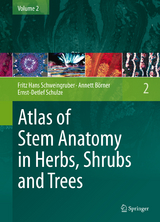 Atlas of Stem Anatomy in Herbs, Shrubs and Trees - Fritz Hans Schweingruber, Annett B&ouml;rner, Ernst-Detlef Schulze