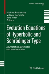 Evolution Equations of Hyperbolic and Schr&ouml;dinger Type - 