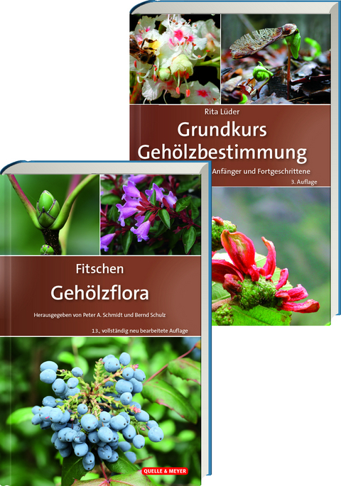Fitschen &ndash; Geh&ouml;lzflora 13. Auflage + Grundkurs Geh&ouml;lzbestimmung 3. Auflage - 