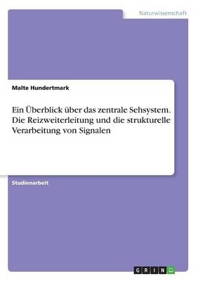 Ein Ãberblick Ã¼ber das zentrale Sehsystem. Die Reizweiterleitung und die strukturelle Verarbeitung von Signalen