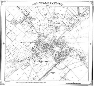 Newmarket 1901 Map - Peter J. Adams