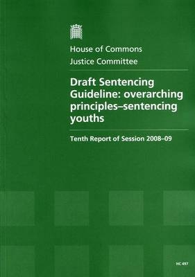 Draft sentencing guideline