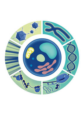 Encyclopedia of Molecular Cell Biology and Molecular Medicine - 