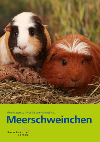 Meerschweinchen