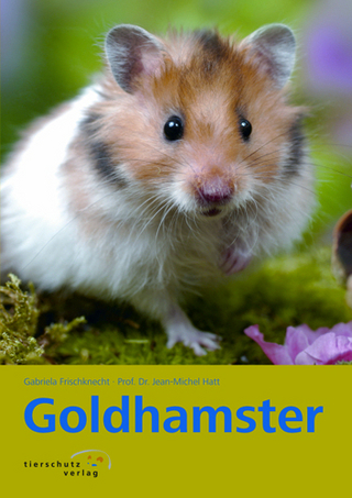 Goldhamster
