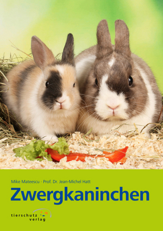 Zwergkaninchen
