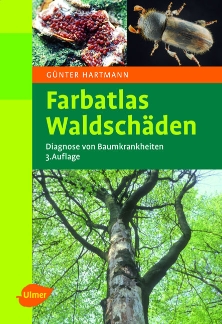 Farbatlas Waldsch&auml;den - G&uuml;nter Hartmann, Franz Nienhaus, Heinz Butin