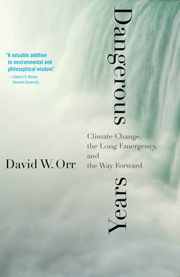 Dangerous Years - David W. Orr