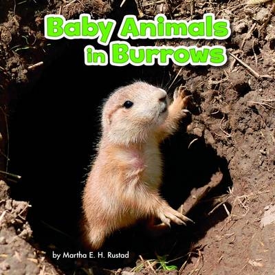 Baby Animals in Burrows - Martha E. H. Rustad