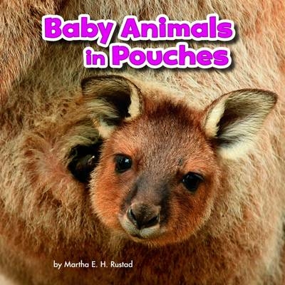 Baby Animals in Pouches - Martha E. H. Rustad