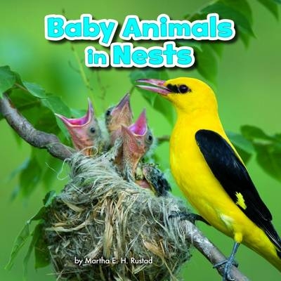 Baby Animals in Nests - Martha E. H. Rustad