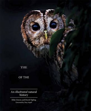 The Enigma of the Owl