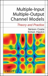 Multiple-Input Multiple-Output Channel Models - Nelson Costa, Simon Haykin