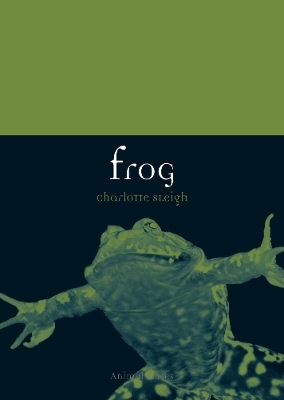 Frog - Charlotte Sleigh