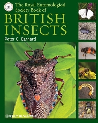 The Royal Entomological Society Book of British Insects - Peter C. Barnard