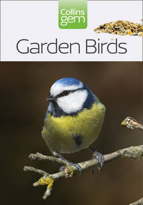 Garden Birds - Stephen Moss