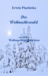 Der Weihnachtswald - Erwin Plachetka