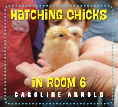 Hatching Chicks in Room 6 - Caroline Arnold