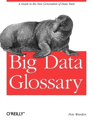 Big Data Glossary - Pete Warden