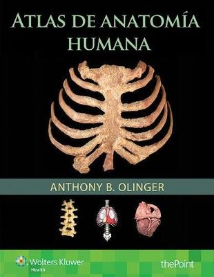 Atlas de anatom&iacute;a humana - Anthony B. Olinger