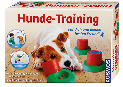 Hunde-Training