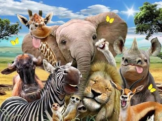 3D Jigsaw Africa Selfie