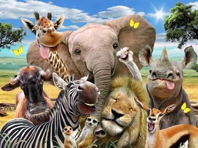 3D Jigsaw Africa Selfie