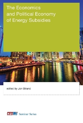 The Economics and Political Economy of Energy Subsidies - 