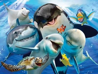 3D Jigsaw Ocean Selfie
