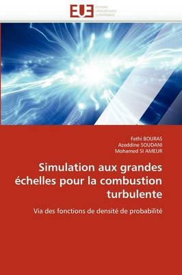 Simulation aux grandes échelles pour la combustion turbulente
