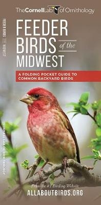 Feeder Birds of the Midwest - The Cornell Lab of Ornithology