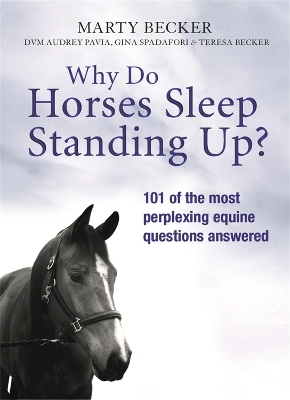 Why Do Horses Sleep Standing Up? - Marty Becker