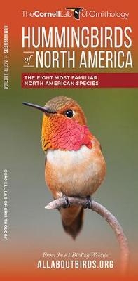 Hummingbirds of North America - The Cornell Lab of Ornithology